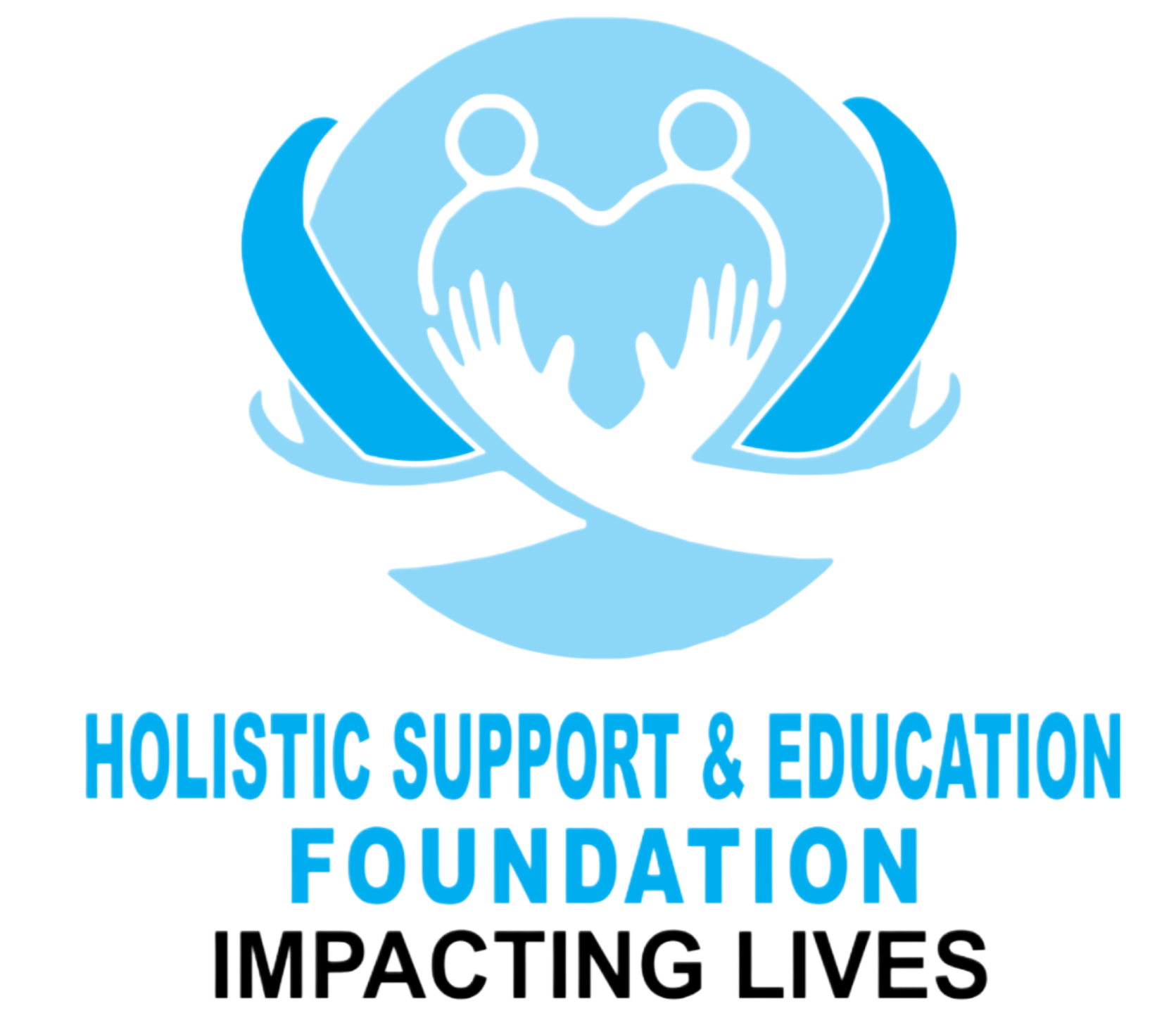 Holistic Support & Education Foundation logo